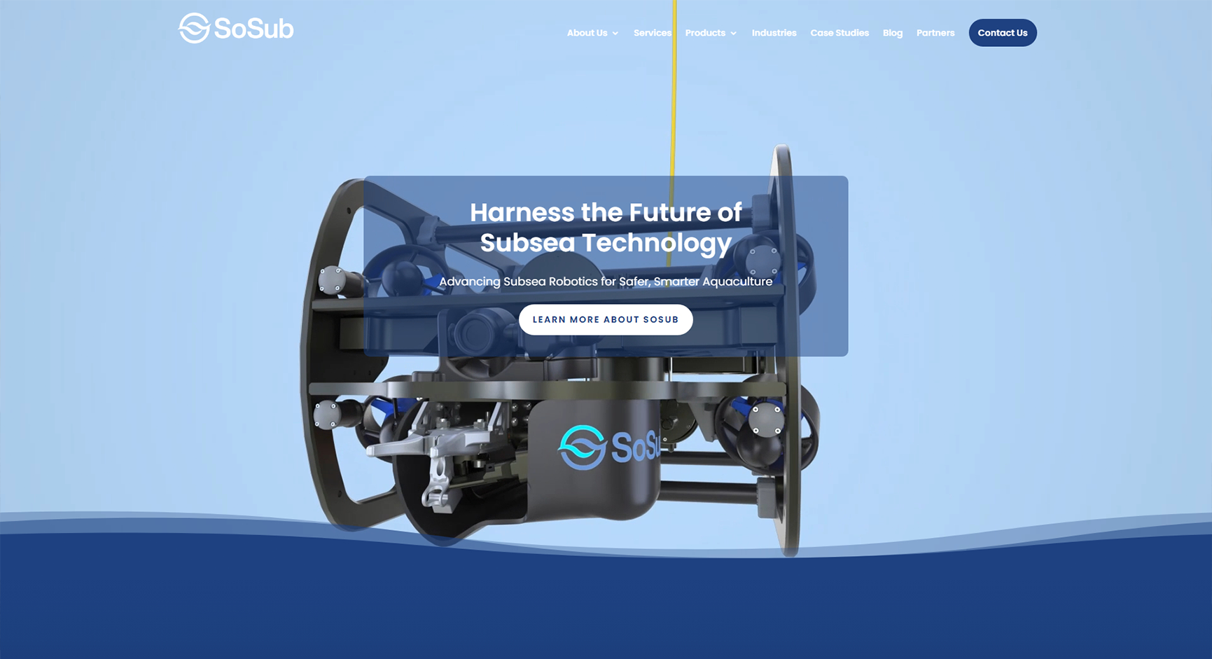 Southern Ocean Subsea Case Study